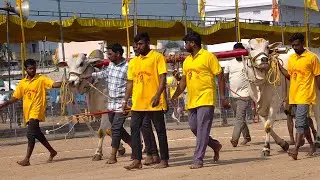 2026-చిలకలూరిపేట.2పళ్ళు.11వ జత.