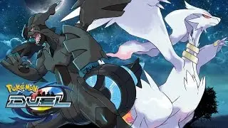 NEW LEGENDARIES!! 1400+ Gems Reshiram & Zekrom Booster Openings| Pokemon Duel
