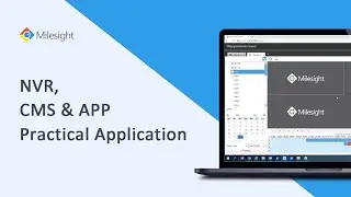 Milesight Academy：NVR, CMS & APP Practical Application