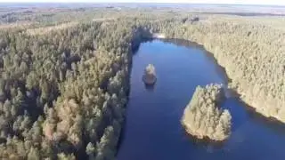 Viitna