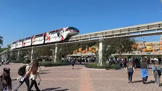 Enjoying Disneyland and DCA on my Birthday - November 3 2025 - 4K HDR