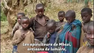 Bees keeping in Rwanda and African