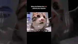 If you laugh, you restart pt 1057 | #memes