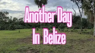 Ещё один день в Белизе &mdash; жизнь за пределами США #youtube #belize #travel #peace #home #diy #reale...