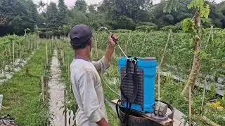 SIMPLE BUT BRILLIANT: A FARMER’S UNIQUE WAY TO FILL LIQUID FERTILIZER TANKS! - Agriculture Farming