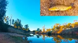 Digging Worms and 1 Hour Fishing Challenge
