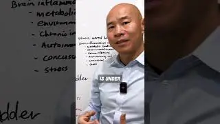 The brain-bladder connection