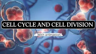 CELL CYCLE AND CELL DIVISION With animation