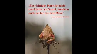 H&auml;rter als Granit und zarter als eine Rose: Sebastian Heinzel &uuml;ber M&auml;nnerarbeit