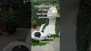 The Pace of Nature: A Journey to Inner Peace