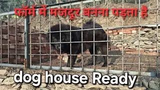 dog house ready #shepherddog #bhotia @KartikMahotra101 @pahaddwarhimmat1923 