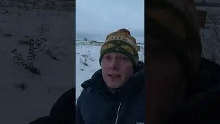 Czy warunki zimowe przeszkadzają pszczołom? -