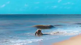Pele Terra