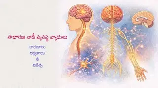 సాధారణ నాడీ వ్యవస్థ వ్యాధులు – కారణాలు, లక్షణాలు & చికిత్స  I LSKSM Vlogs