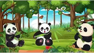 Amazing Facts for Kids 🐼 | Learn & Laugh with Fun Quiz | Panda Facts