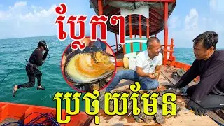 ប្លែកមែន! ដើររកខ្យងក្នុងបាតសមុទ្រ បានច្រើនមុខ ស្រស់ៗល្អណាស់