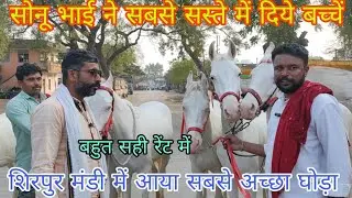 शिरपुर मंडी में आये सबसे सस्ते घोड़े व बच्चे एक झलक 