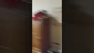 Dude Points Out Frog in the Toilet || ViralHog