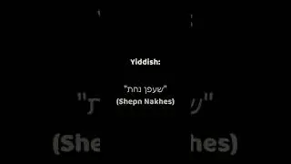 Idiom Labs 313 - Yiddish, 
