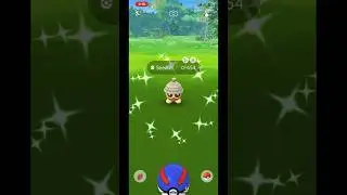 I just caught a shiny Seedot #pokemongo #pokemon #shiny #shinySeedot #shinypokemon #Seedot #Shiftry