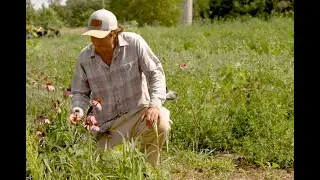 Sacred Blossom Farm and Herbal Teas