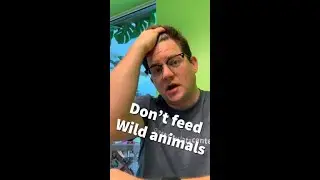 Don&rsquo;t feed wild animals!