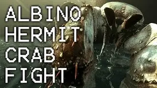 Fallout 4 Far Harbor - Albino Hermit Crab Fight