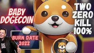 Baby Dogecoin News Today | Burn Date? | 2 Zero Kill Baby Dogecoin soon| हिन्दी में | #UCC444