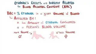 What Is the Effect of Ethanol?