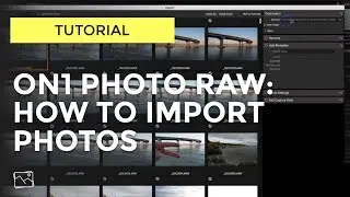 Учебное пособие ON1 &mdash; как импортировать фотографии