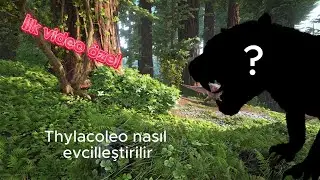 Thylacoleo nasıl evcilleştirilir ? how to tame tyhlacoleo?