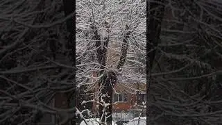 massive snowfall 🤗👍 pls  like & share