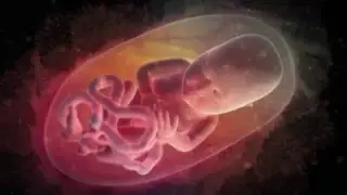 TurtleTub swaddle bath educational video