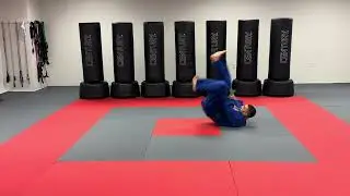 VSK JIU-JITSU SKILL: Left and right side roll out
