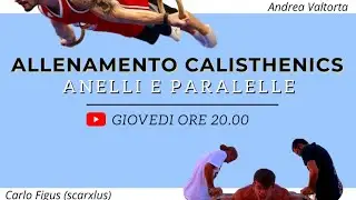 ALLENAMENTO CALISTHENICS - Parallele e Anelli/ ft. Andrea Valtorta e Carlo Figus