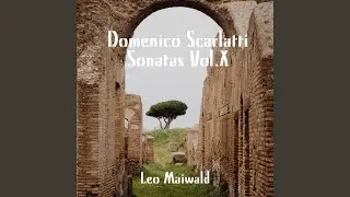 Sonata in E Minor, K233, L467, P497, Allegro