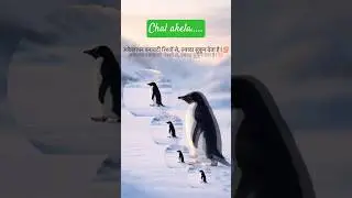 चल अकेला || #penguin #reality #realitylines #reallife #sad #moralstories #love #sadsong