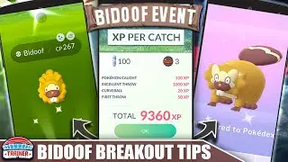 BIGGEST XP GAINS OF THE YEAR! *BIDOOF BREAKOUT* EVENT TIPS - SHINY BIDOOF | Pok&eacute;mon GO