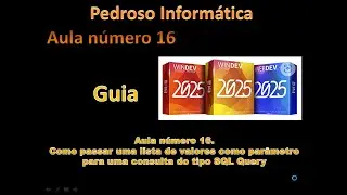 Guia Windev 2025 - aula 16 - Passando uma lista de valores como par&acirc;metro.