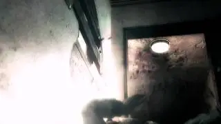 OMG SICKEST 180 FLICK DGL ONESHOT EVER!?
