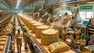 Inside a Modern Rice Processing Plant: From Paddy Fields to Polished Grains (Full Process)