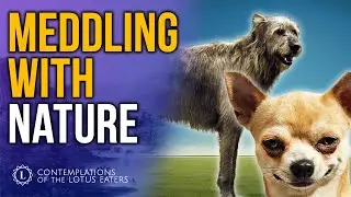 What Domestication Does To Animals DNA