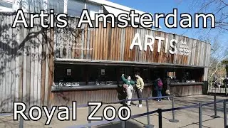 Artis Amsterdam Royal Zoo