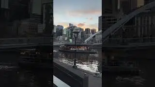 Marvelous Melbourne: A Captivating Cityscape Journey #shorts