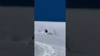 #catskiing #freeride #ski #siberia #powder #mountains