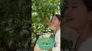 今天跟着婆婆一起去姥姥家，每次姥姥家有什么好吃的都第一时间让我们过去。我想这就是爱屋及乌吧......#新农人计划2024 #记录我的农村生活 #微光点亮乡村