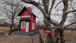 Wild birds January 31, 2026