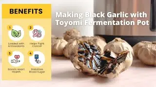 Making Black Garlic with Toyomi Fermentation Machine BGM 8810