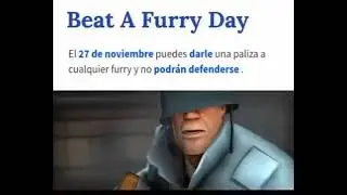 dia del furro