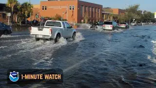 Flooding on a Sunny Day? Here&rsquo;s How. (1-Minute Watch)